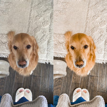 Load image into Gallery viewer, Balboa Summer