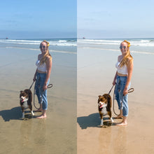 Load image into Gallery viewer, Rosemary Sun