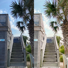 Load image into Gallery viewer, Coconut Surf